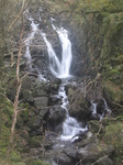 SX20404 Cadair Idris waterfalls (Dol-y-cae).jpg